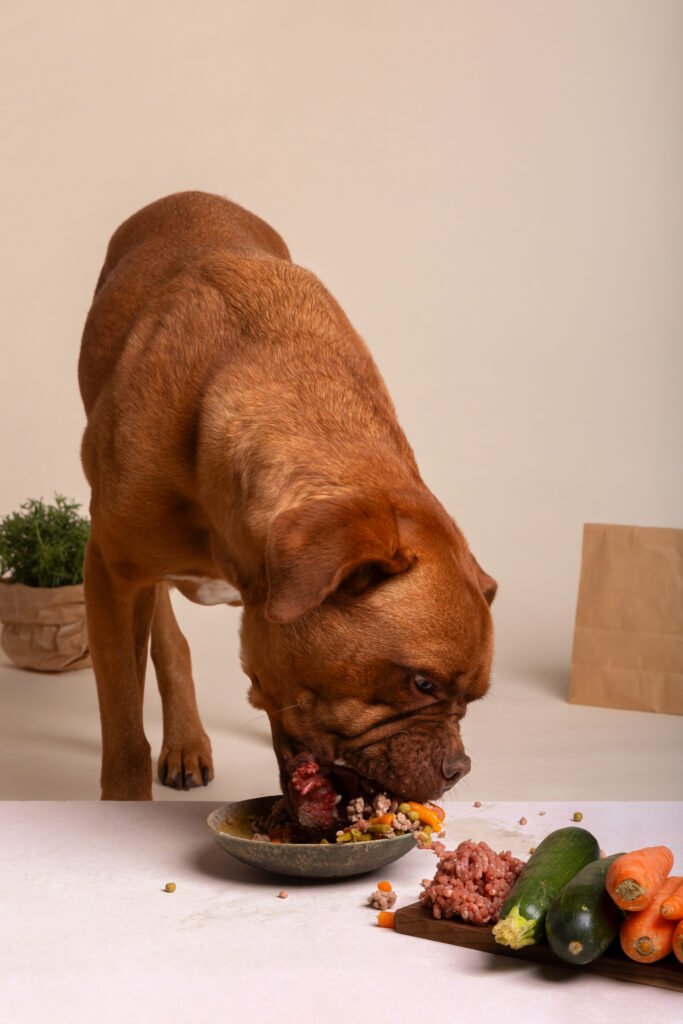 A brown dog eating from a bowl that appears to contain a mix of meat and vegetables. On the side, there are fresh ingredients such as carrots, zucchini, and minced meat placed on a small cutting board.