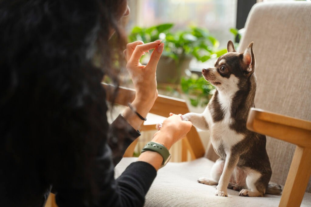 a woman petting a dog